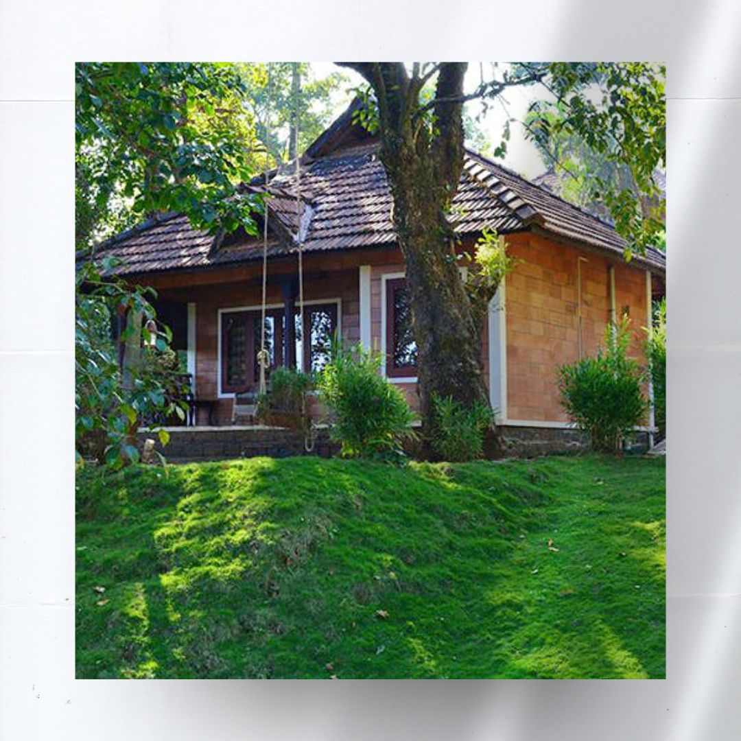 JJ Homestay View