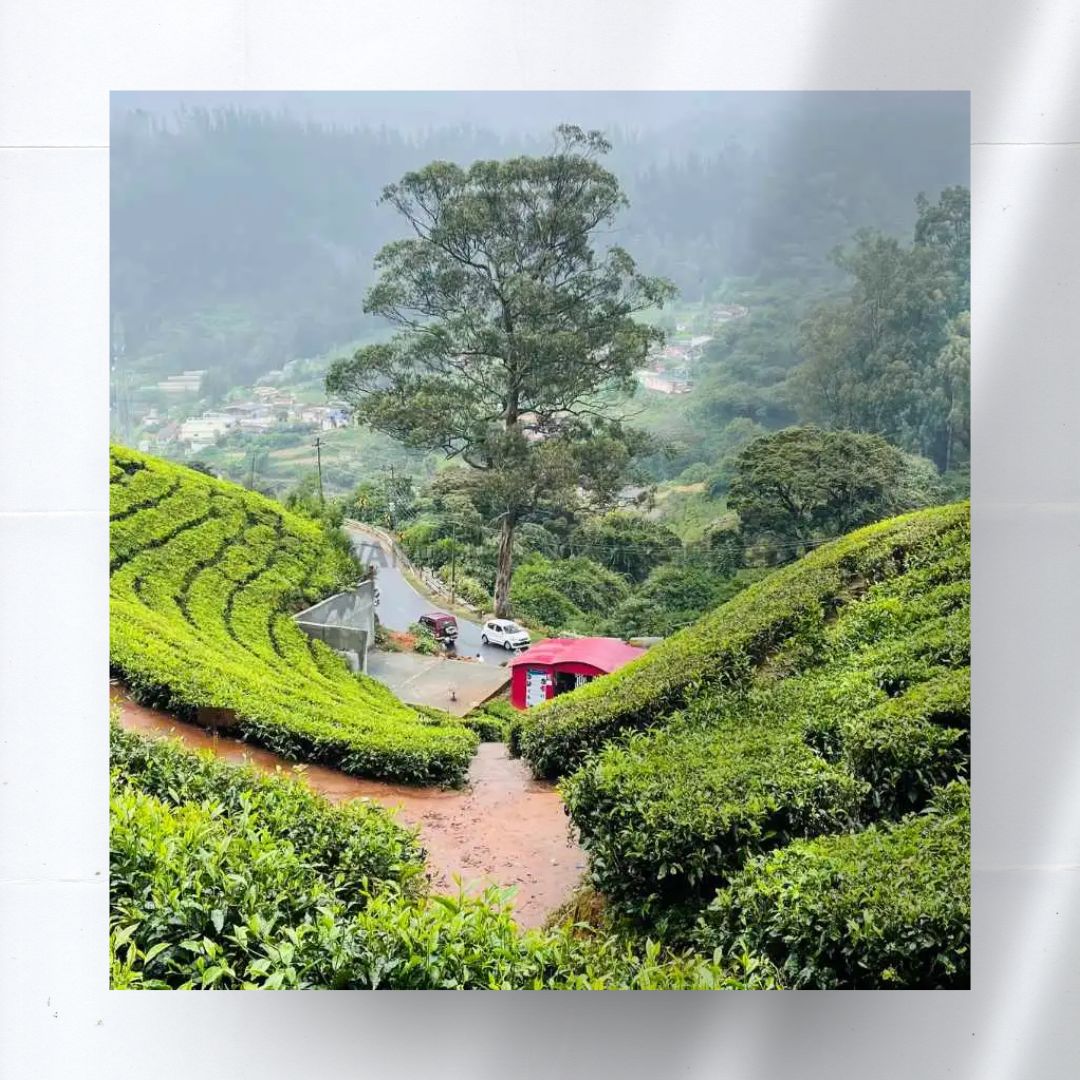 Ooty Sightseeings