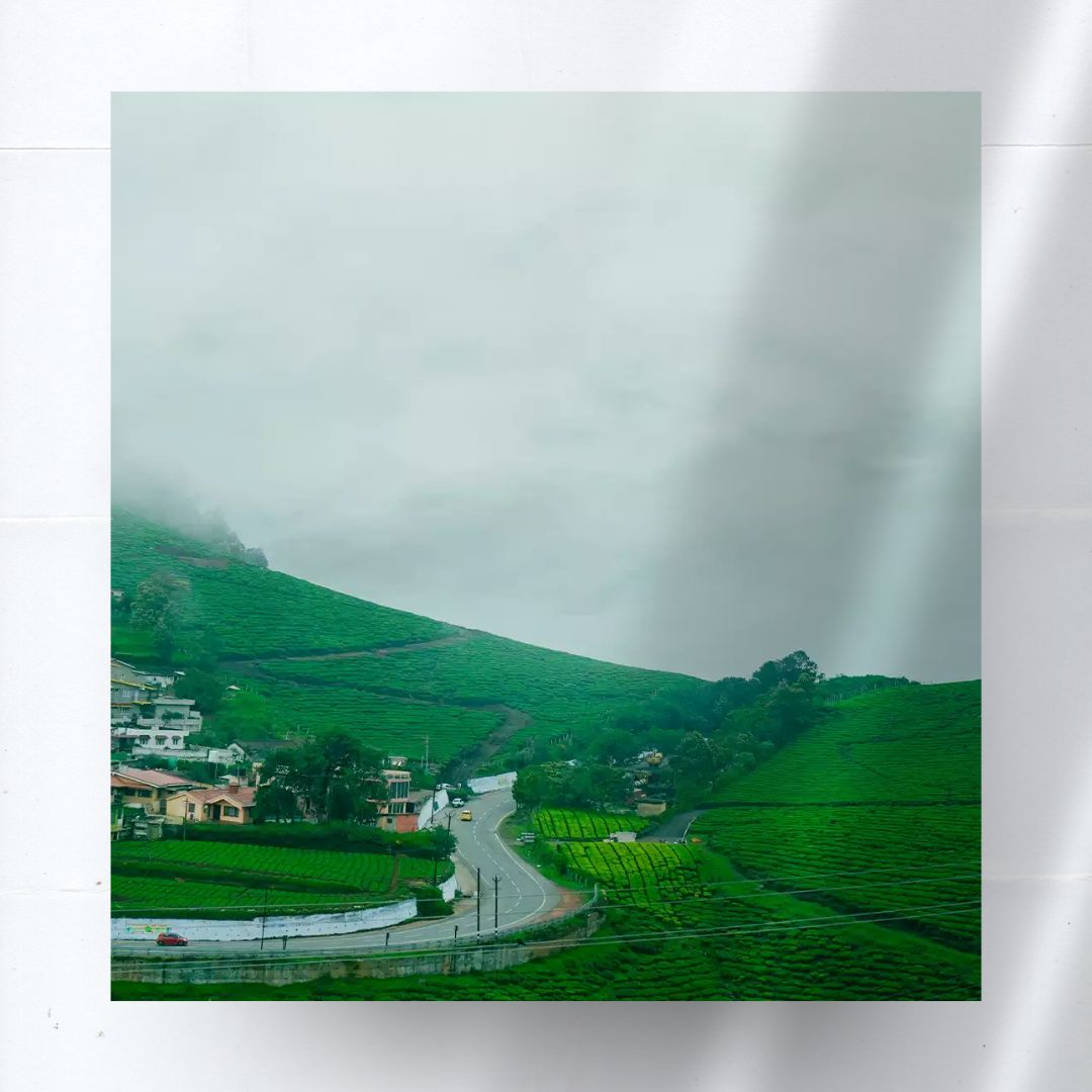 Ooty Views